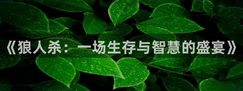 upload/20250701114914.jpg